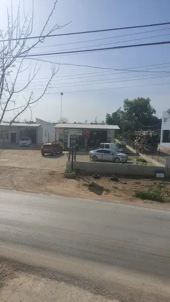 Kutar tarım - Photo 3