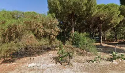 Kutlu Doğum Hatıra Ormanı