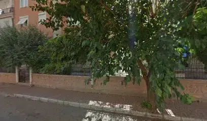 Kuzeneşrt