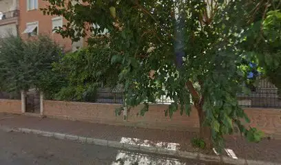 Kuzeneşrt - Photo 1