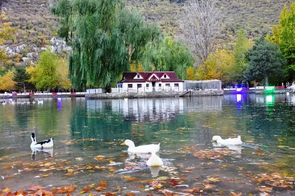 Kuğulu Tabiat Parkı