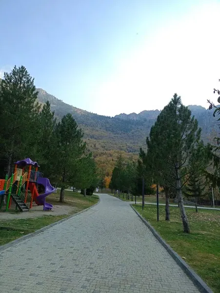 Kuğulu Tabiat Parkı - Photo 5