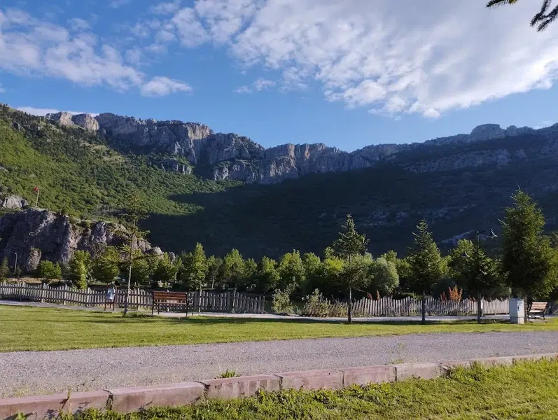 Kuğulu Tabiat Parkı - Photo 7