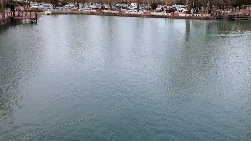 Kuğulu Tabiat Parkı - Photo 8