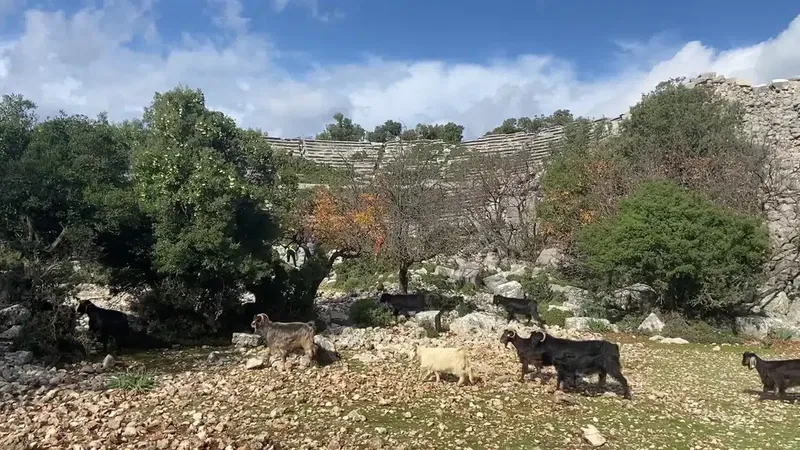 Kyaneai Ören Yeri - Photo 2