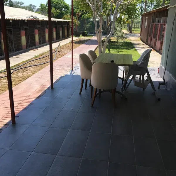 KÖPEK EĞİTİMİ ANTALYA - ANTALYA KÖPEK EĞİTİM MERKEZİ, köpek oteli, köpek pansiyonu - Photo 3