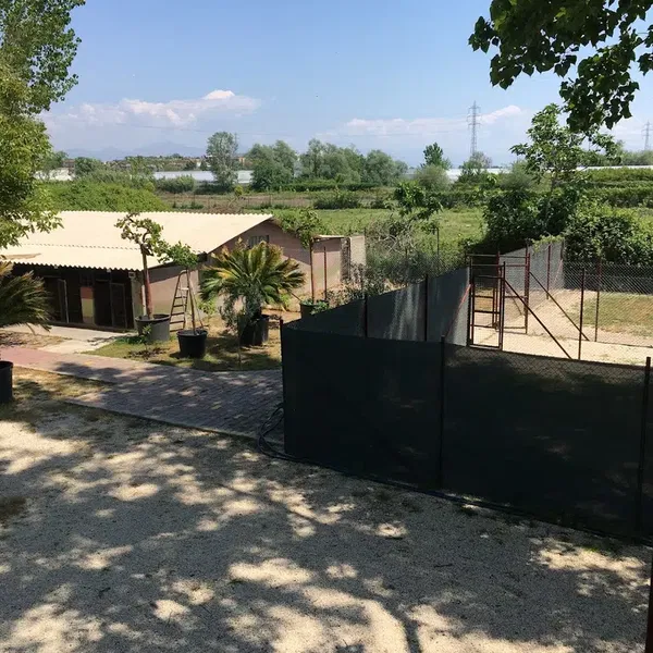 KÖPEK EĞİTİMİ ANTALYA - ANTALYA KÖPEK EĞİTİM MERKEZİ, köpek oteli, köpek pansiyonu - Photo 7