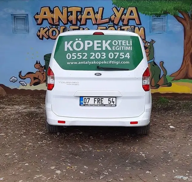 KÖPEK EĞİTİMİ ANTALYA - ANTALYA KÖPEK EĞİTİM MERKEZİ, köpek oteli, köpek pansiyonu - Photo 8