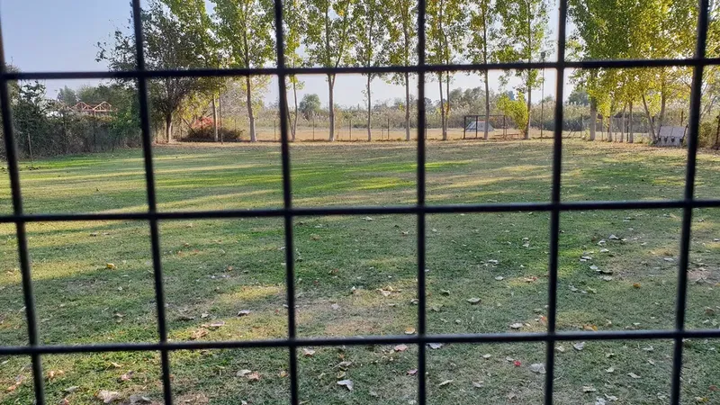KÖPEK EĞİTİMİ ANTALYA - ANTALYA KÖPEK EĞİTİM MERKEZİ, köpek oteli, köpek pansiyonu - Photo 9