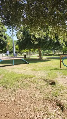 Köpek Parkı