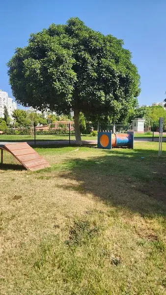 Köpek Parkı - Photo 3