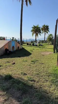 Köpek parkı(Hund park)