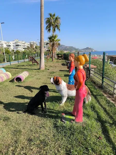 Köpek parkı(Hund park) - Photo 3