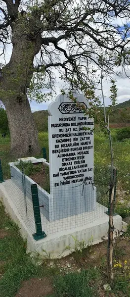 Körpe Seyid Türbesi - Photo 6