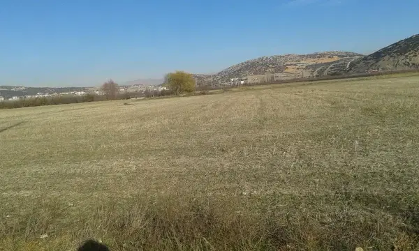 Ku-Bi Tarim Fidancilik