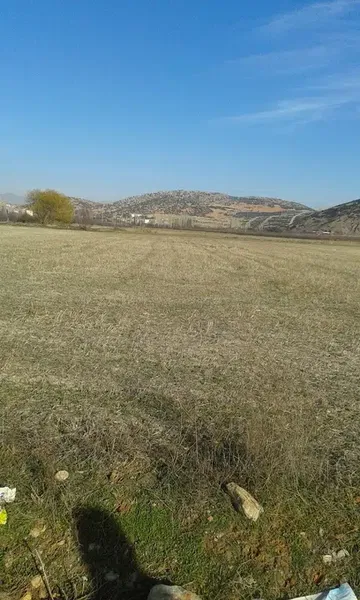 Kü-bi Tarım Fidancılık - Photo 3