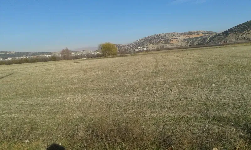 Kü-bi Tarım Fidancılık - Photo 4