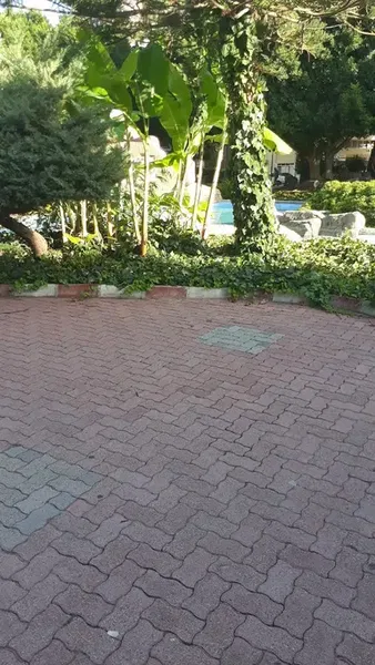 Kültür Parkı - Photo 5