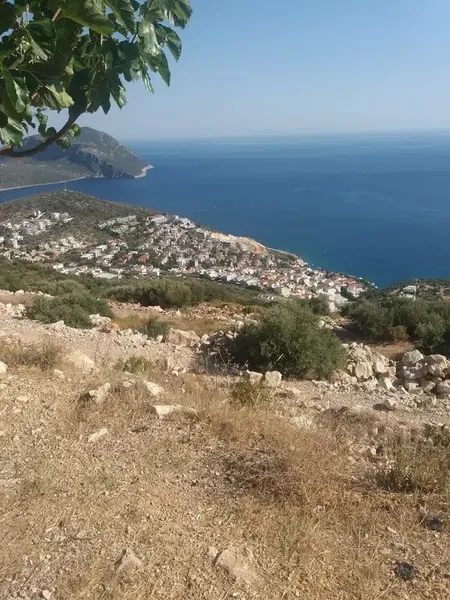 Küçük Bay - Photo 7