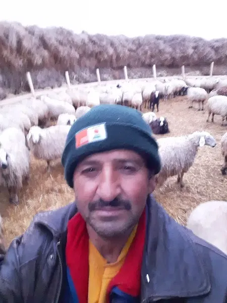 Küçükbaş Hasan Akdı - Photo 6
