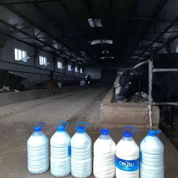 Küçükdere Sütçülük - Photo 3