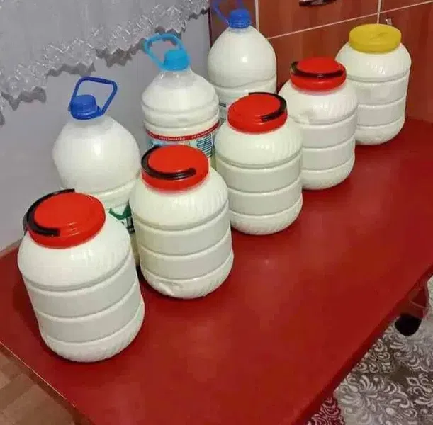 Küçükdere Sütçülük - Photo 7
