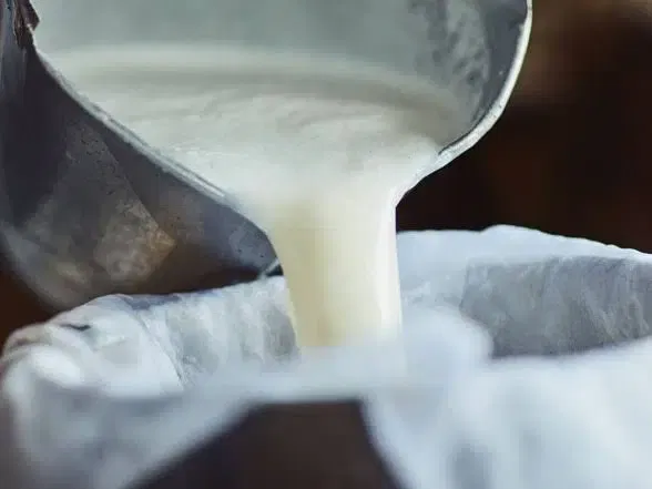 Küçükdere Sütçülük - Photo 10