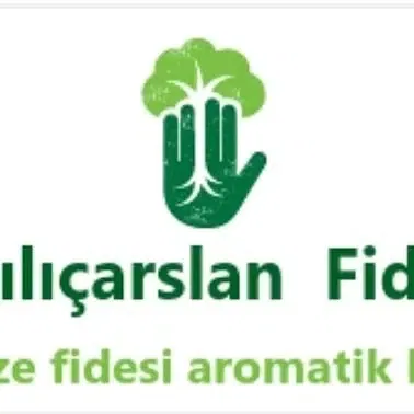 Kılıçarslan fide fidan - Photo 4