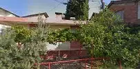 Kılıçarslan fide fidan - Photo 5