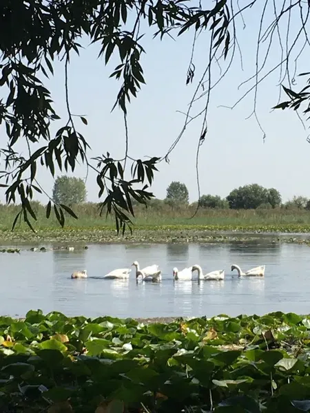 Kırkgöz Han Kervansaray - Photo 5