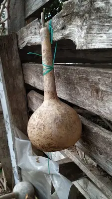 Kısmet Kır Bahçesi
