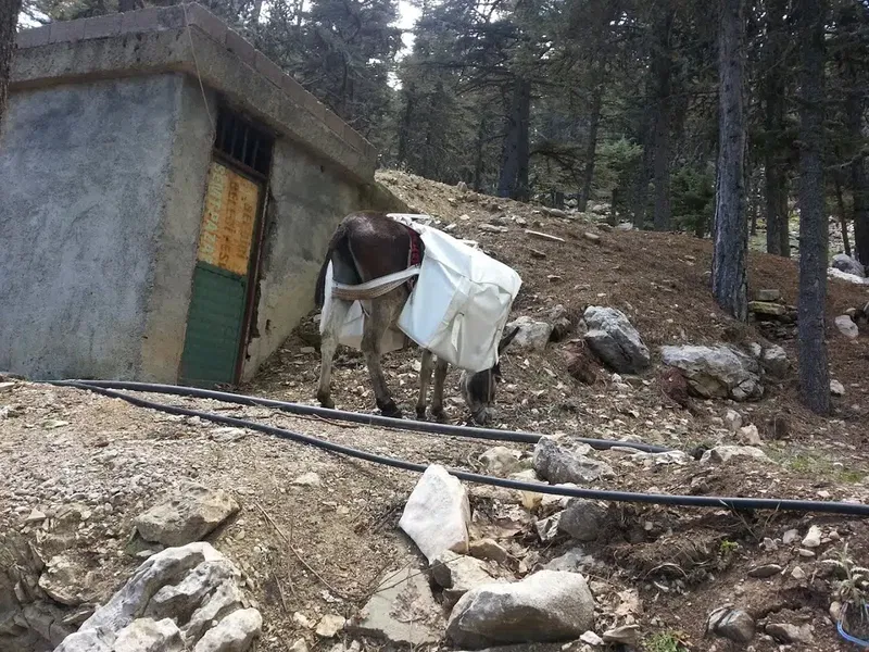 Kıvrak Köşkü - Photo 3