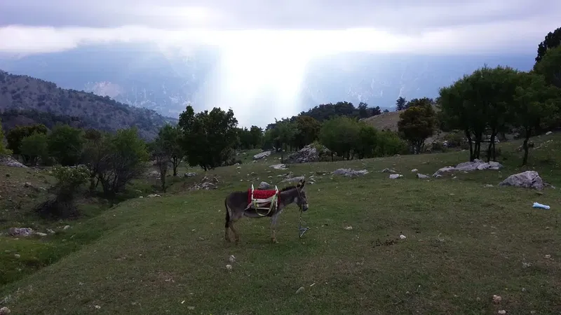Kıvrak Köşkü - Photo 4