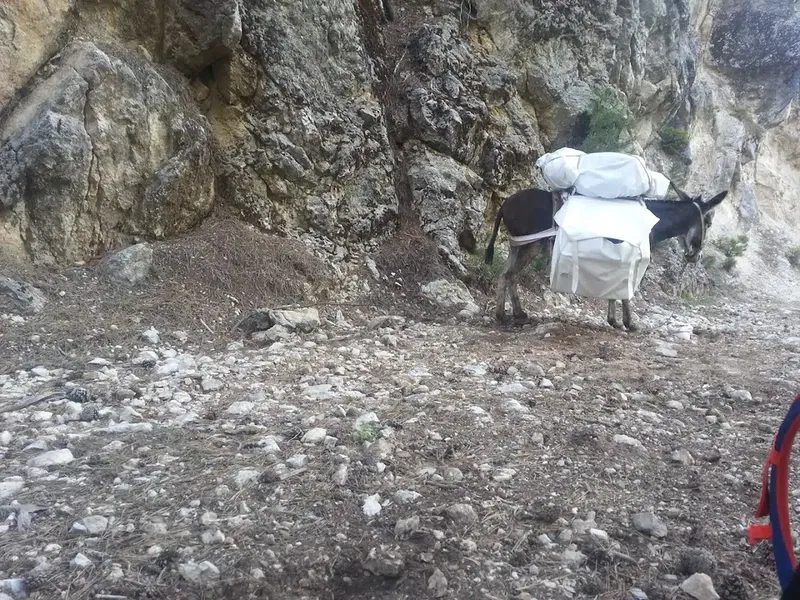 Kıvrak Köşkü - Photo 9