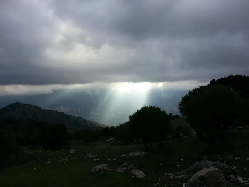 Kıvrak Köşkü - Photo 10