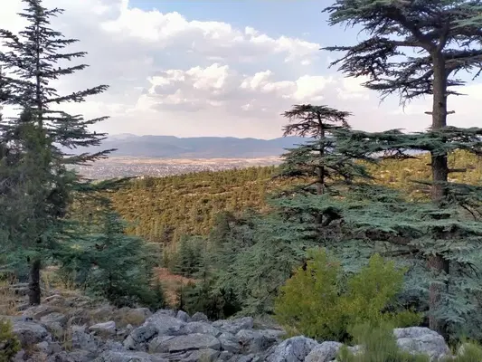 Red Mountain National Park