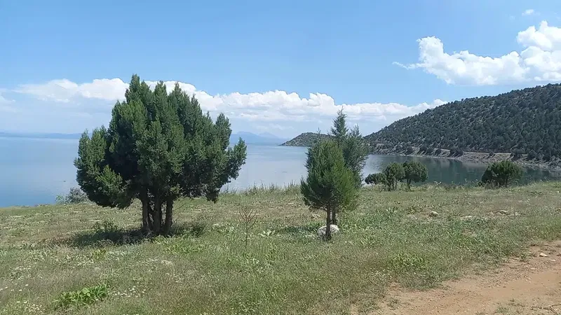 Kızılkise Mesire Alanı - Photo 2