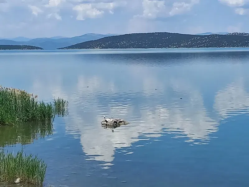 Kızılkise Mesire Alanı - Photo 7