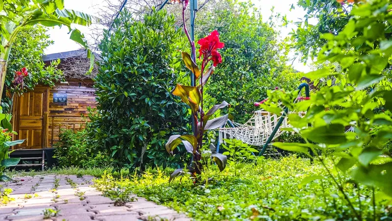 Lemon Garden Lodge - Photo 5