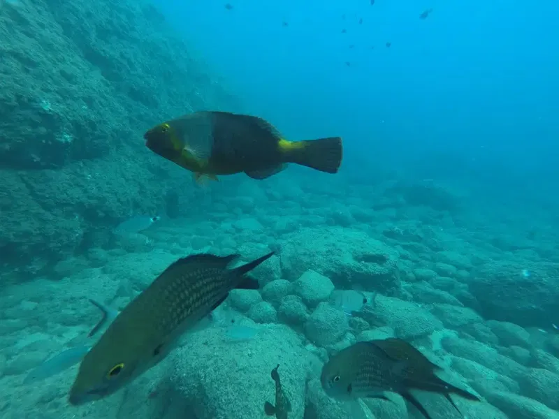 Like Diving Academy - Photo 4