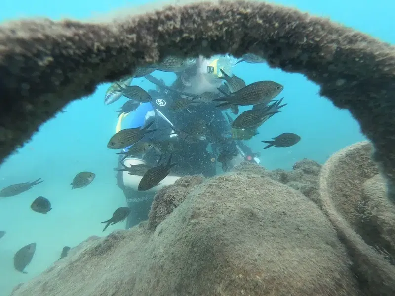 Like Diving Academy - Photo 5