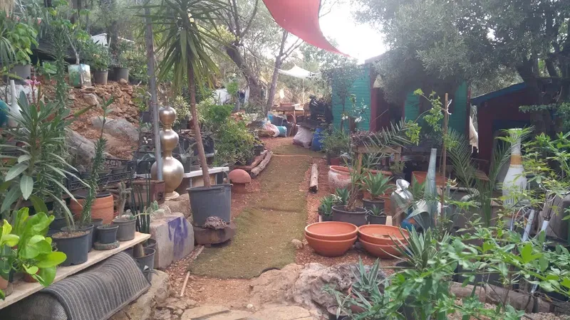 Likya Garden - Photo 1