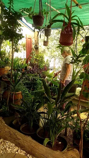 Likya Garden - Photo 2