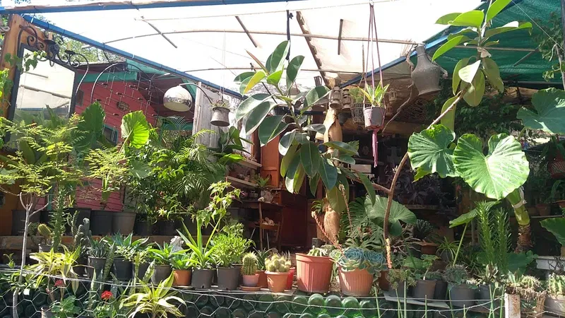 Likya Garden - Photo 4