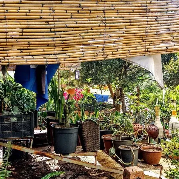 Likya Garden - Photo 9