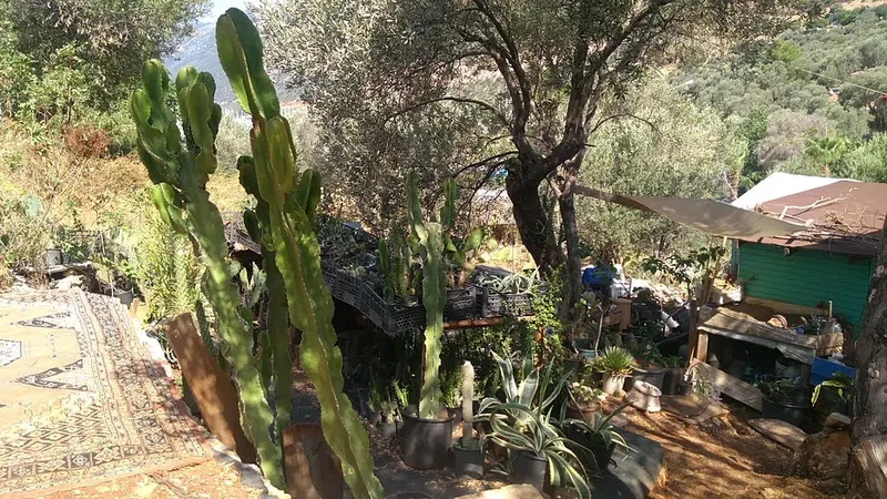 Likya Garden - Photo 10