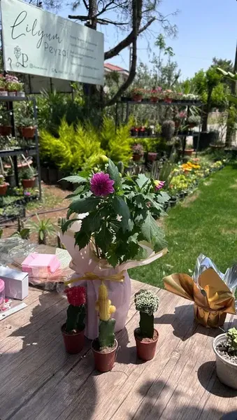 Lilyum Peyzaj - Photo 4