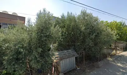 Lime Butik Otel - Photo 1