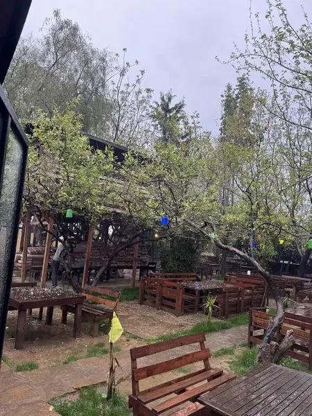 Limonaltı Et Mangal & Kahvaltı - Photo 6