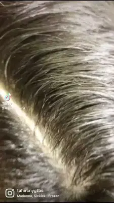 Magichand 2 Barber Shop ️